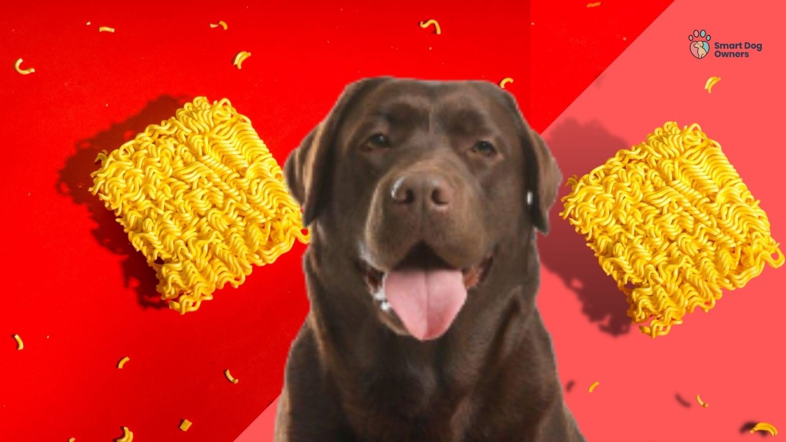 Can Dogs Eat Raw Chicken and Raw Chicken Bones? Smart Dog Owners